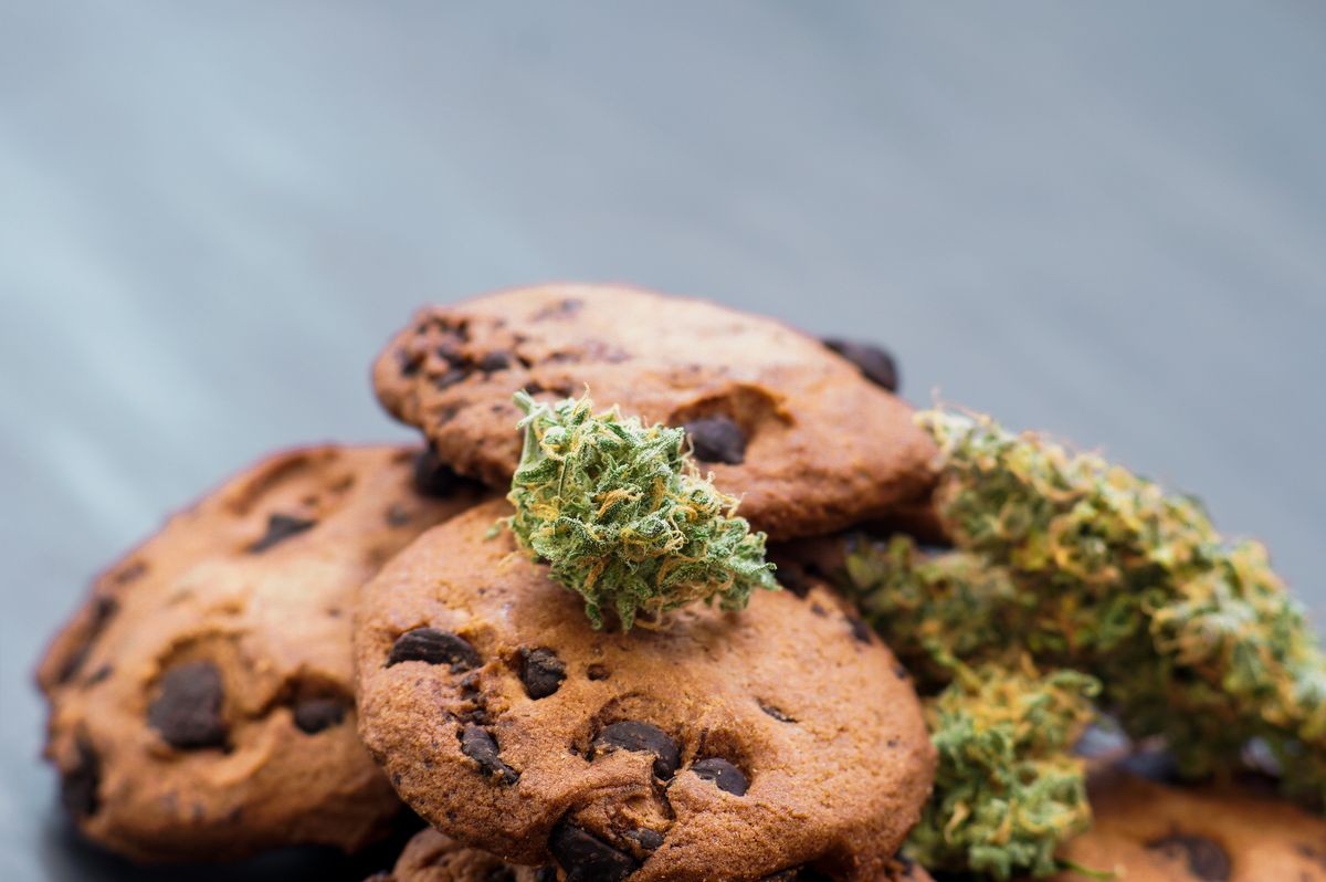 Cookies with cannabis and buds of marijuana on the table. Concept of cooking with cannabis herb. Treatment of medical marijuana for use in food, On a black background CBD use